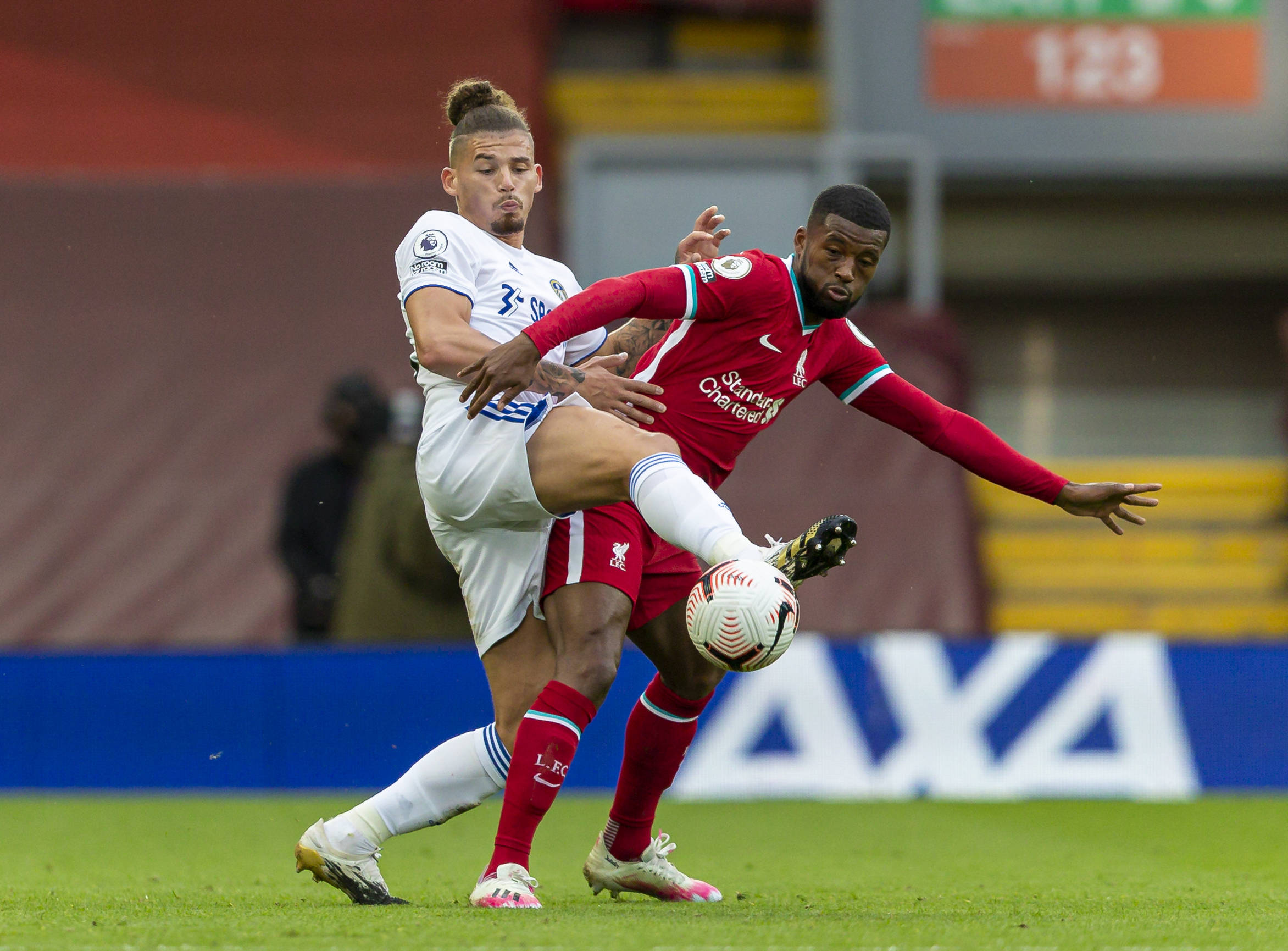 引入更多半 引入更多半